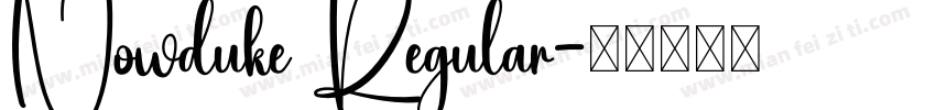 Nowduke Regular字体转换